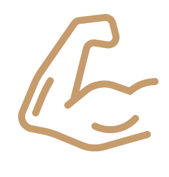 Actividades de Fortalecimiento