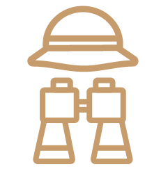 Actividades de Aprendizaje