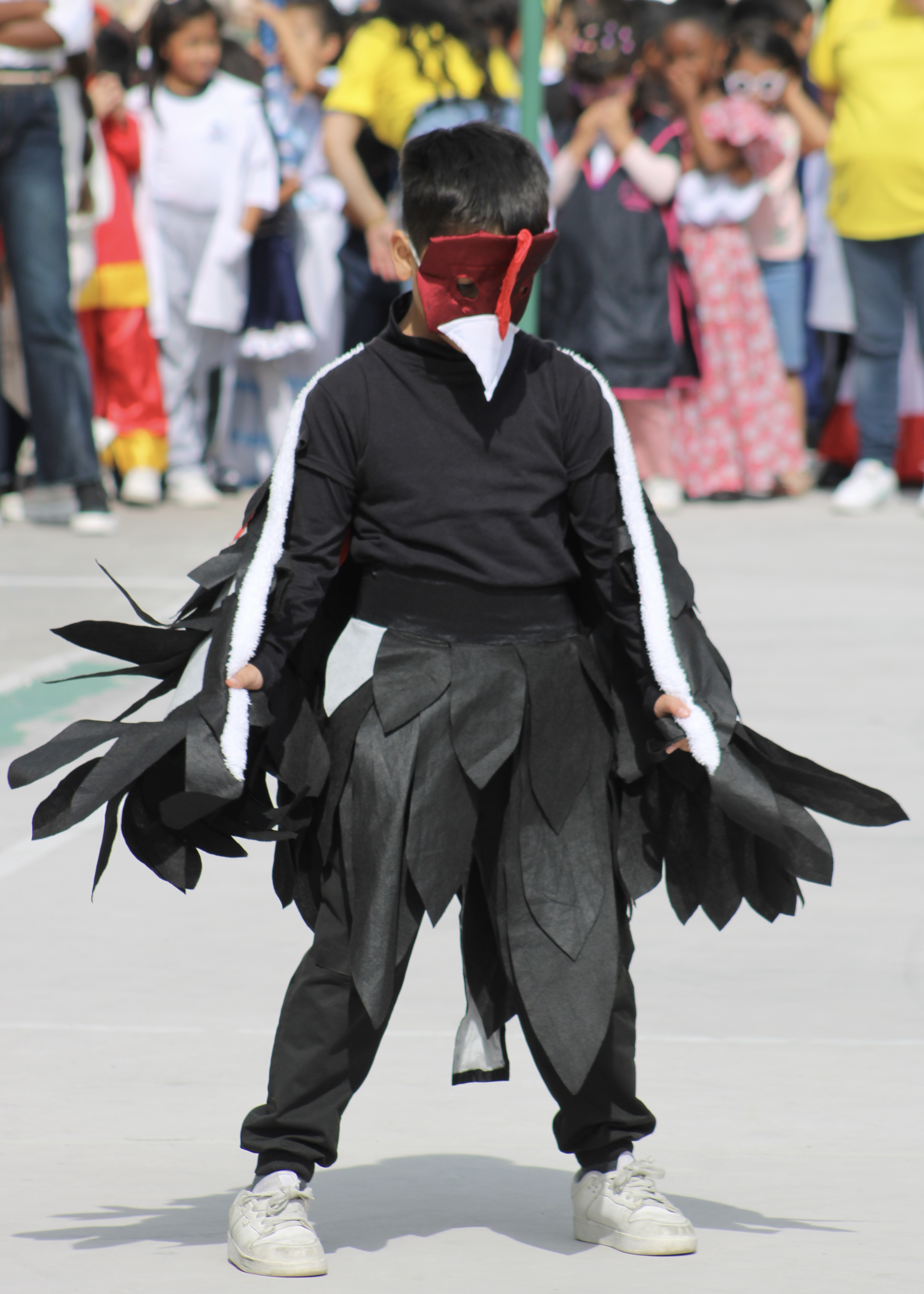 Feria de Estudios Sociales